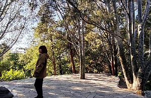2023 11 PEKIN - PARC BEIHAI (14)
